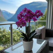 Sommerfugl Orkidé Naturtro - Kunstig Plante