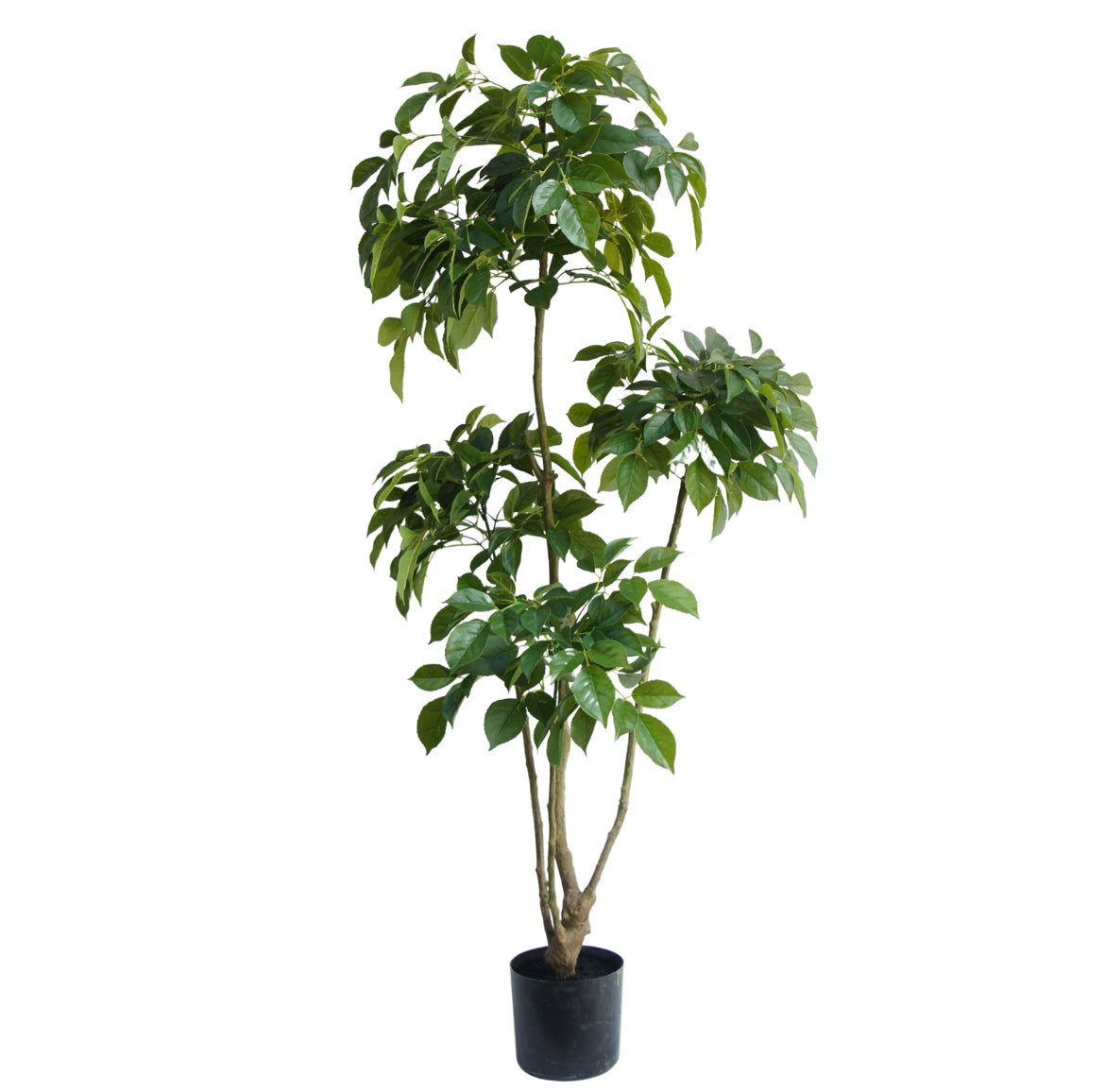 Kunstig Plante Ficus-tre Ekte Utseende