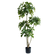 Kunstig Plante Ficus-tre Ekte Utseende