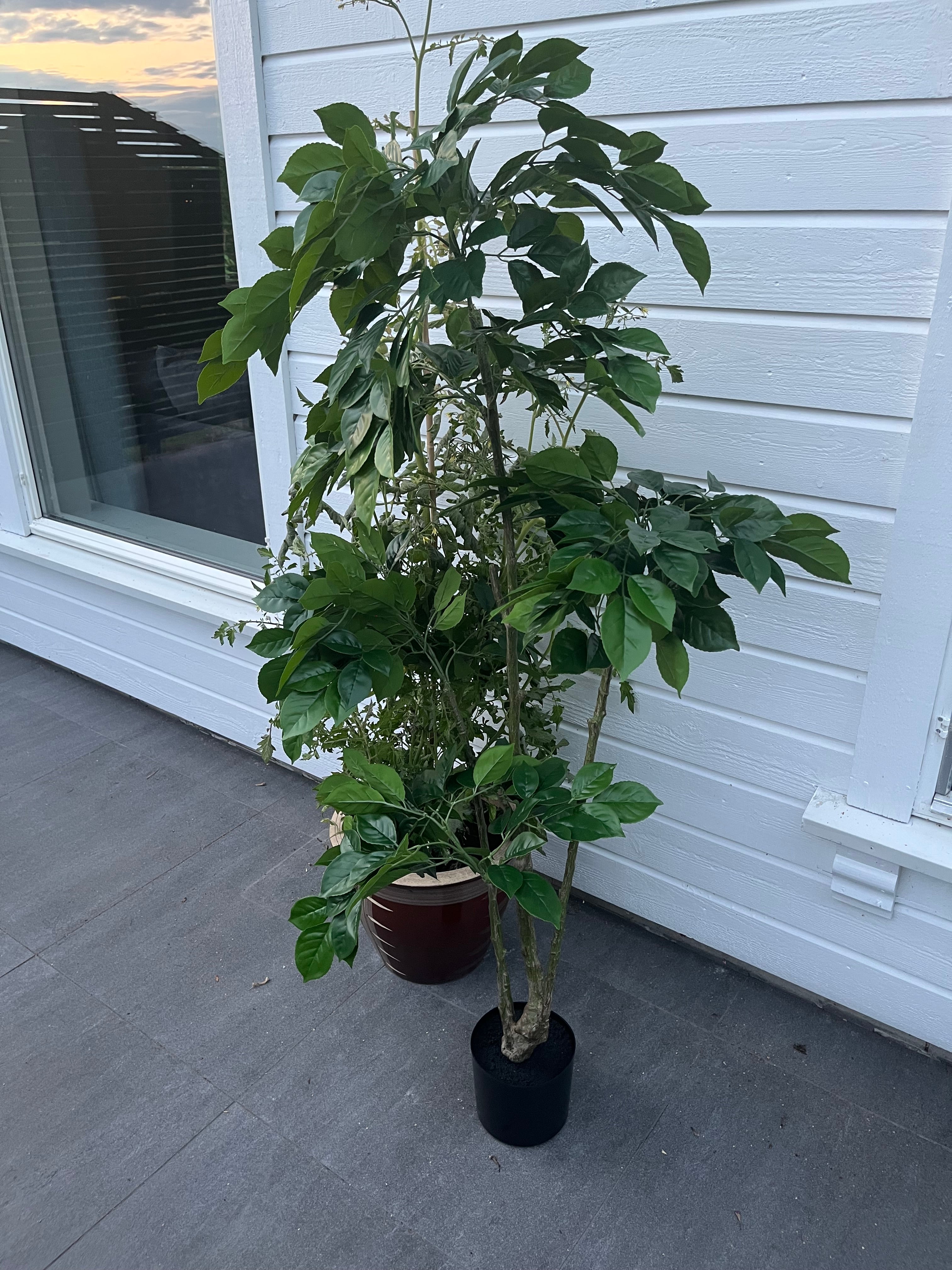 Kunstig Plante Ficus-tre Ekte Utseende