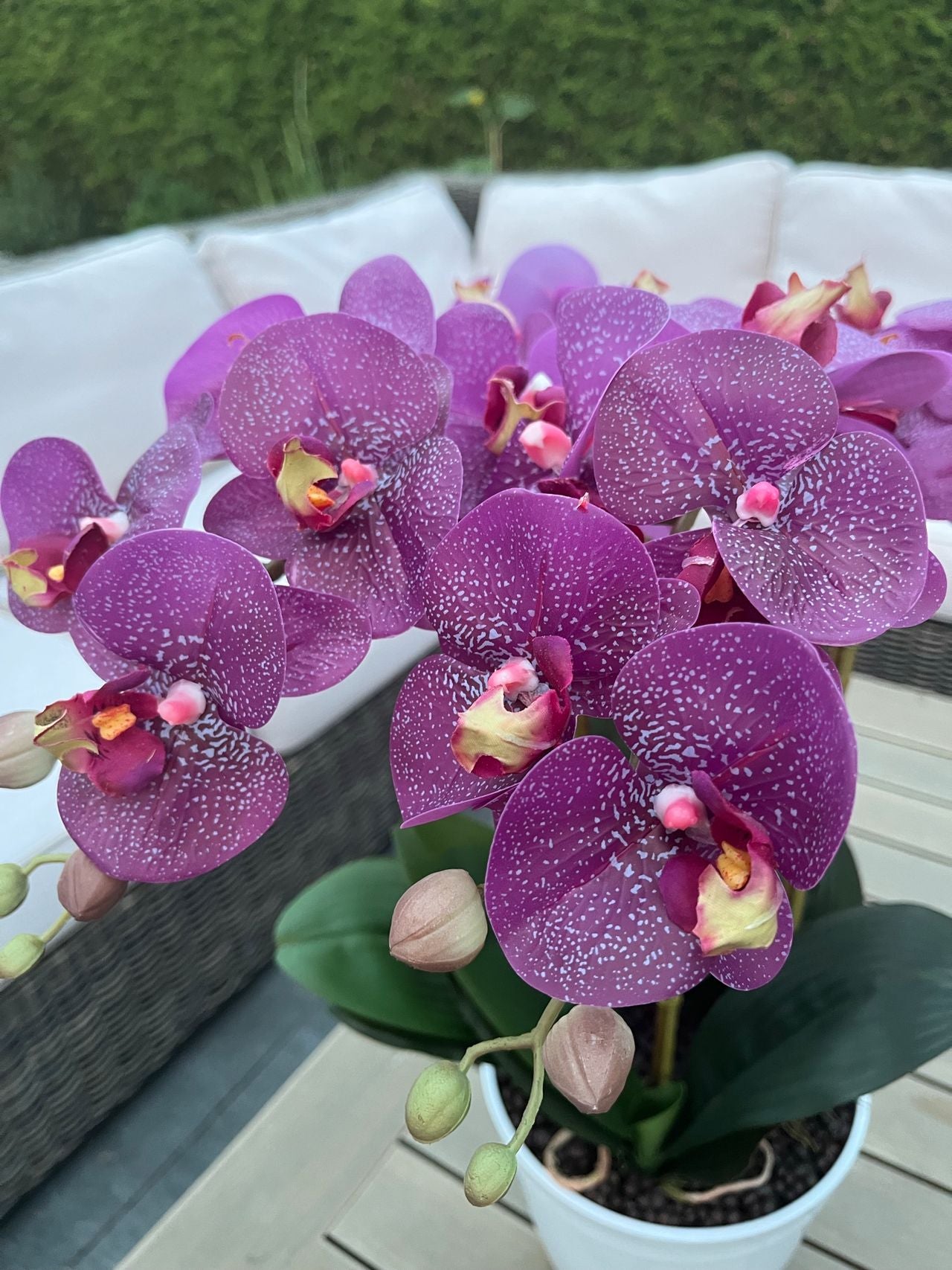 Sommerfugl Orkidé Naturtro - Kunstig Plante