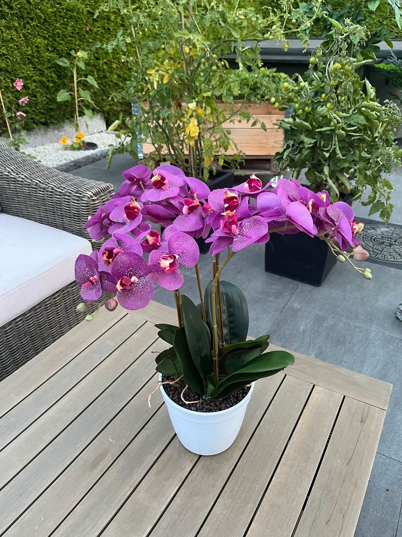 Sommerfugl Orkidé Naturtro - Kunstig Plante