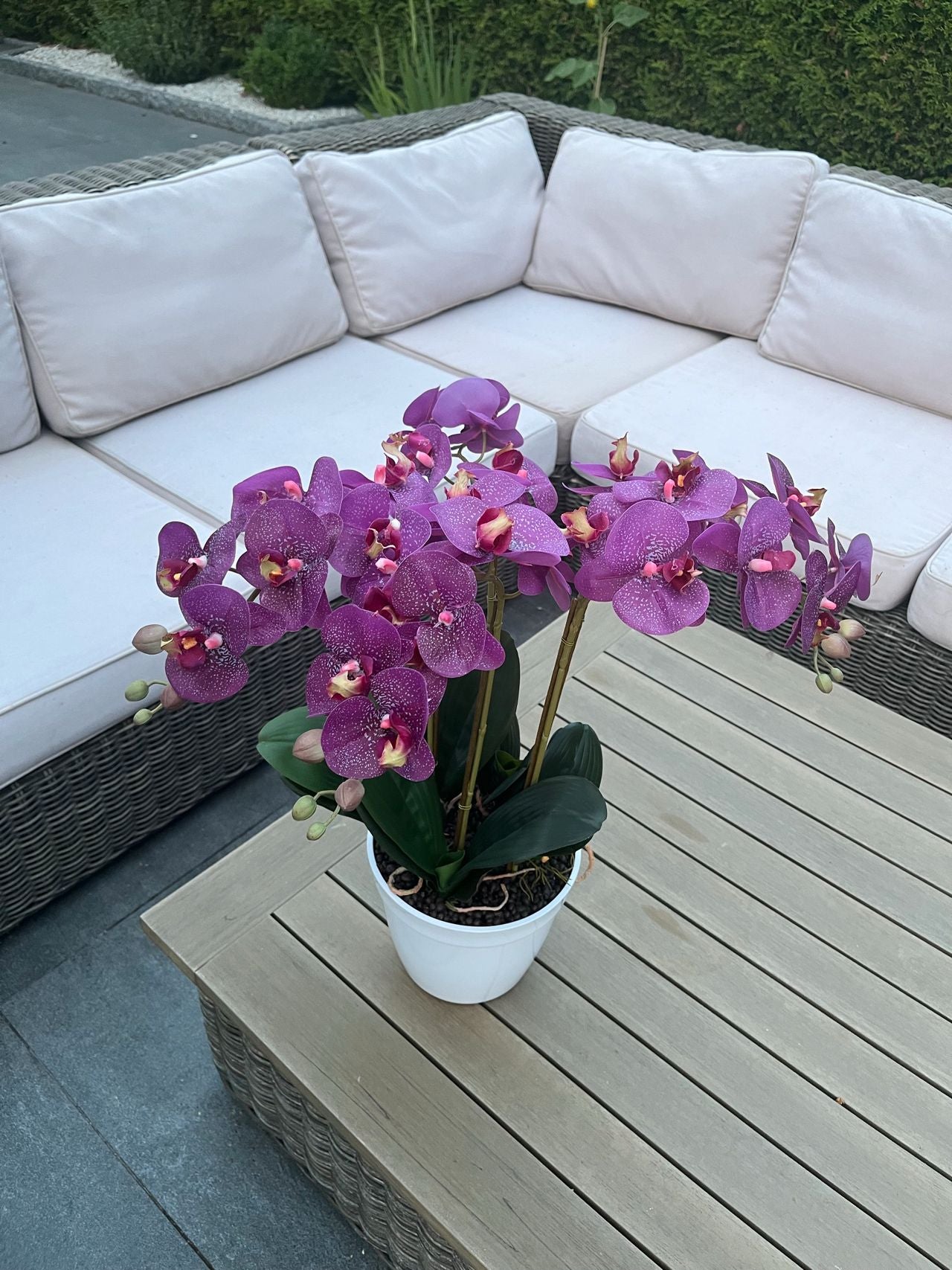 Sommerfugl Orkidé Naturtro - Kunstig Plante