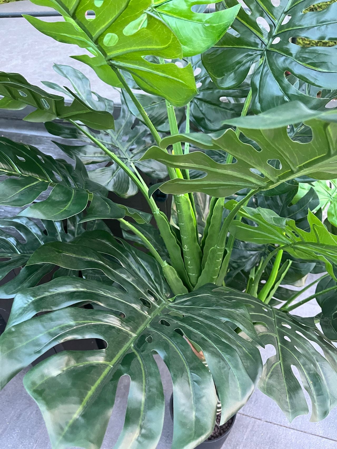 Monstera Naturtro - Kunstig Plante