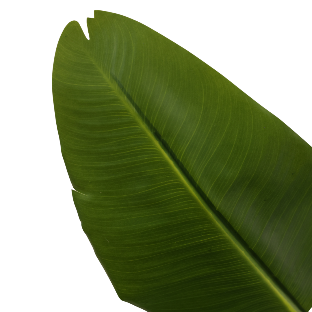 Kunstig Strelitzia 120cm