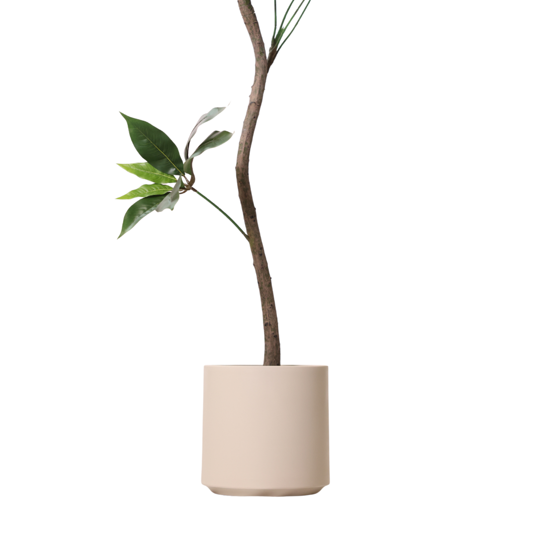 21.5 cm Dekorpotte Sandstein