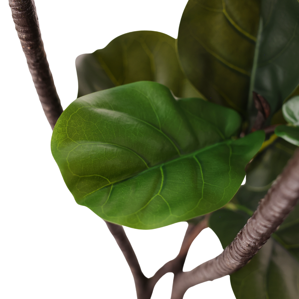 Kunstig Klassisk Fiolinfiken 150 cm