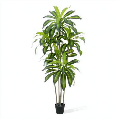 Kunstig Dracaena 160 cm