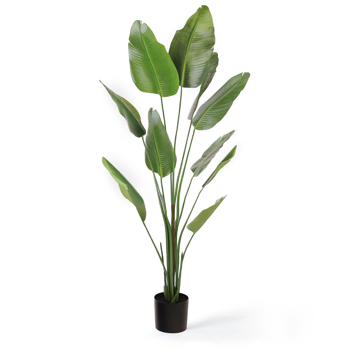 Kunstig Sterlitzia 180 cm