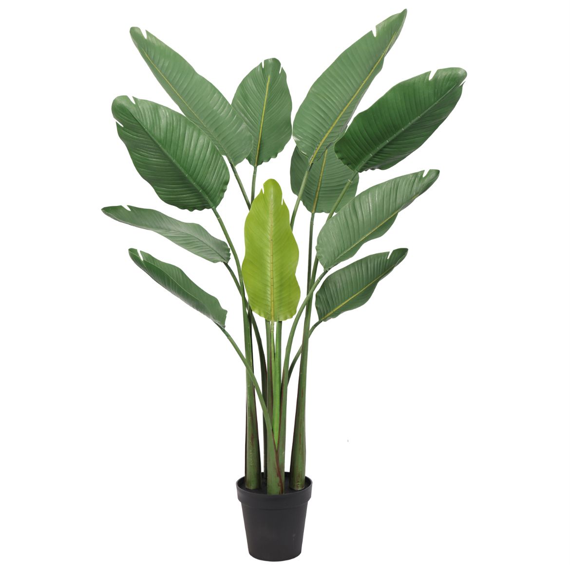 Kunstig Plante Strelitzia Outlet