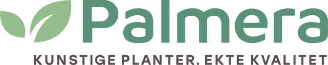 Palmera
