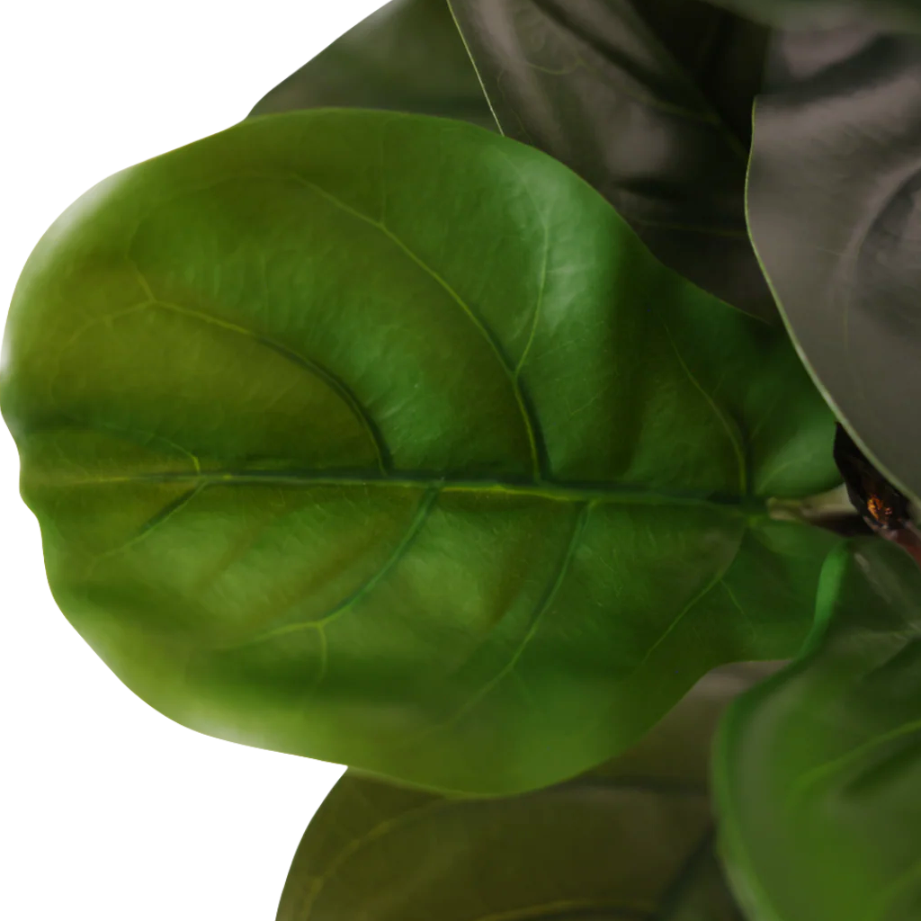 Kunstig Klassisk Fiolinfiken 120 cm