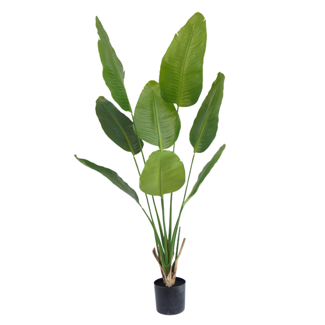 Kunstig Sterlitzia Deluxe 150 cm