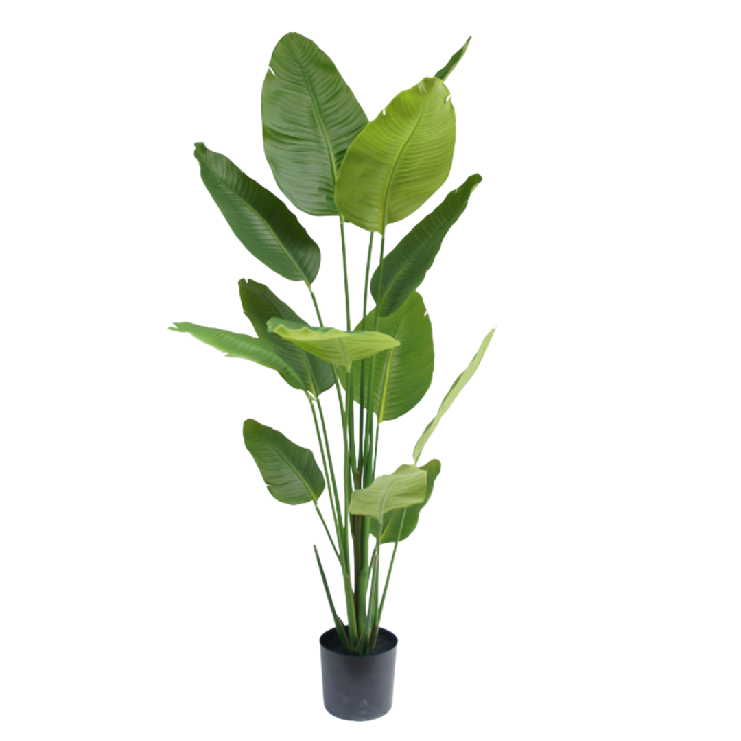 Kunstig Sterlitzia 180 cm