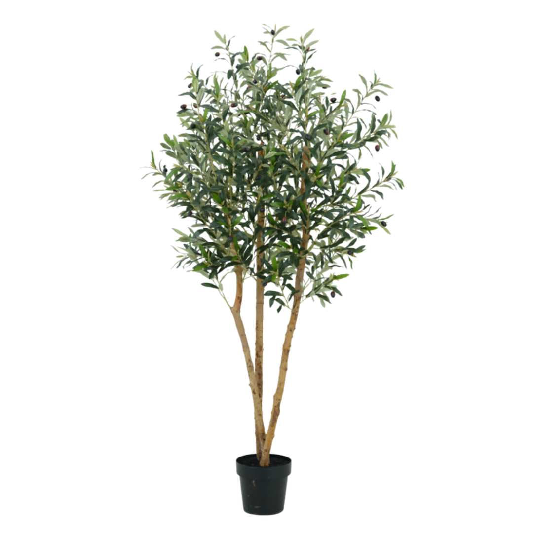 Kunstig Oliventre 180 cm