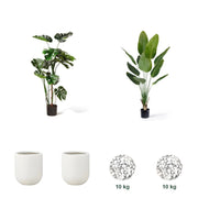 Favorittpakken – 1 × Monstera 120 cm, 1 × Strelitzia Deluxe 180 cm, 2 × 25 cm Dekorpotte Perlehvit, 2 × Dekorstein Hvit 15-25 mm - 10 kg