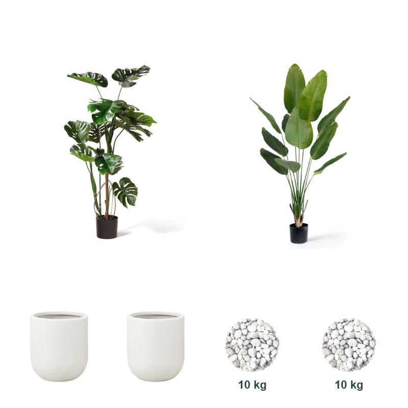 Favorittpakken – 1 × Monstera 120 cm, 1 × Strelitzia Deluxe 180 cm, 2 × 25 cm Dekorpotte Perlehvit, 2 × Dekorstein Hvit 15-25 mm - 10 kg