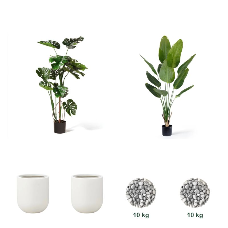 Favorittpakken – 1 × Monstera 120 cm, 1 × Strelitzia Deluxe 180 cm, 2 × 25 cm Dekorpotte Perlehvit, 2 × Dekorstein Grå 15-25 mm - 10 kg