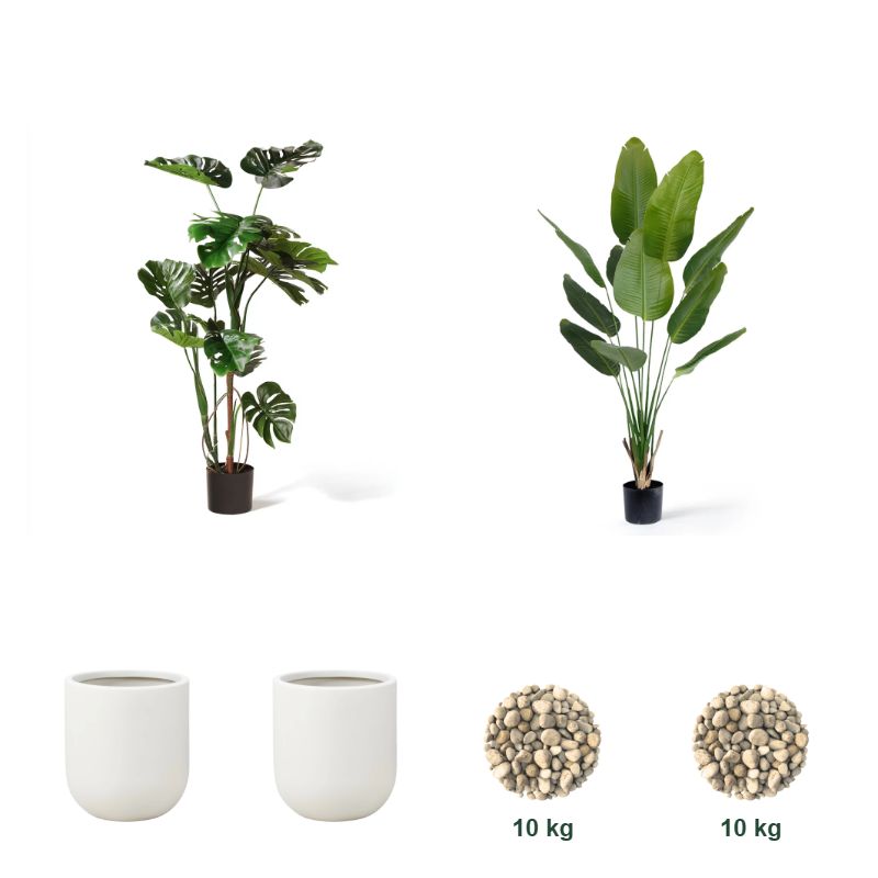 Favorittpakken – 1 × Monstera 120 cm, 1 × Strelitzia Deluxe 180 cm, 2 × 25 cm Dekorpotte Perlehvit, 2 × Dekorstein Beige 15-40 mm - 10 kg