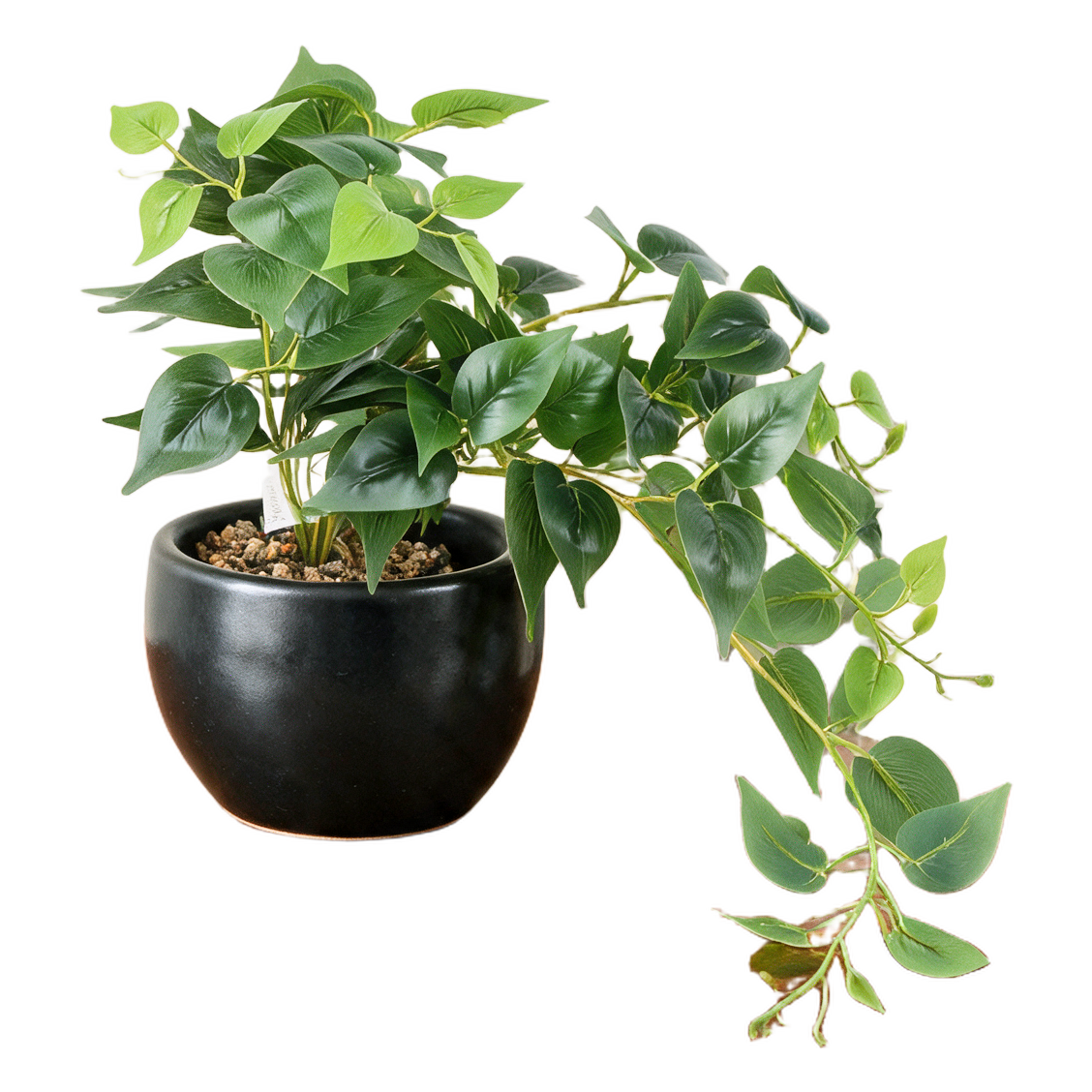 Pothos Hengeplante vist i dekorpotte med dekorstein