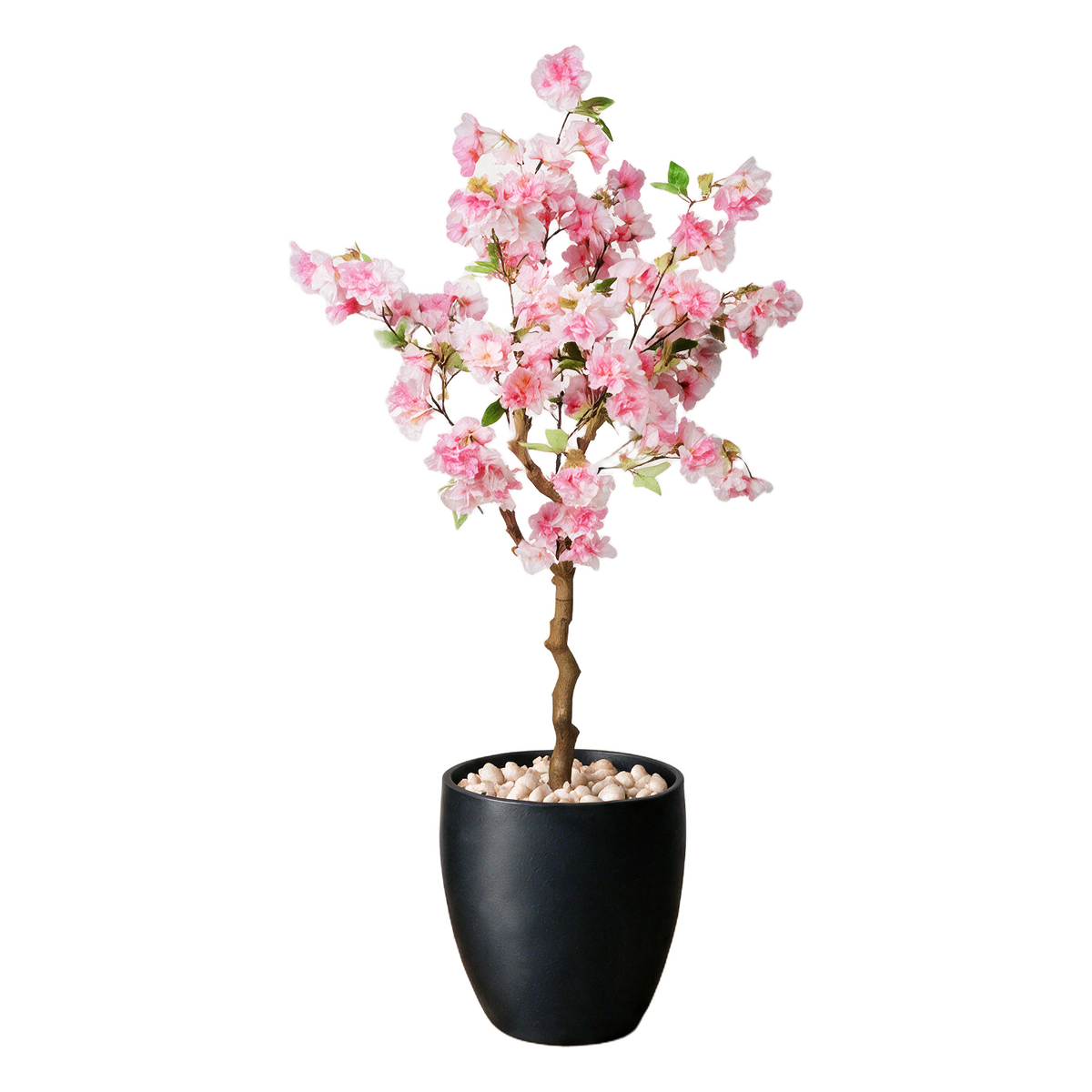 Japansk Kirsebærtre 120 cm vist i dekorpotte med dekorstein