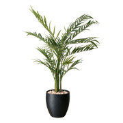 Areca Palme 150 cm vist i dekorpotte med dekorstein