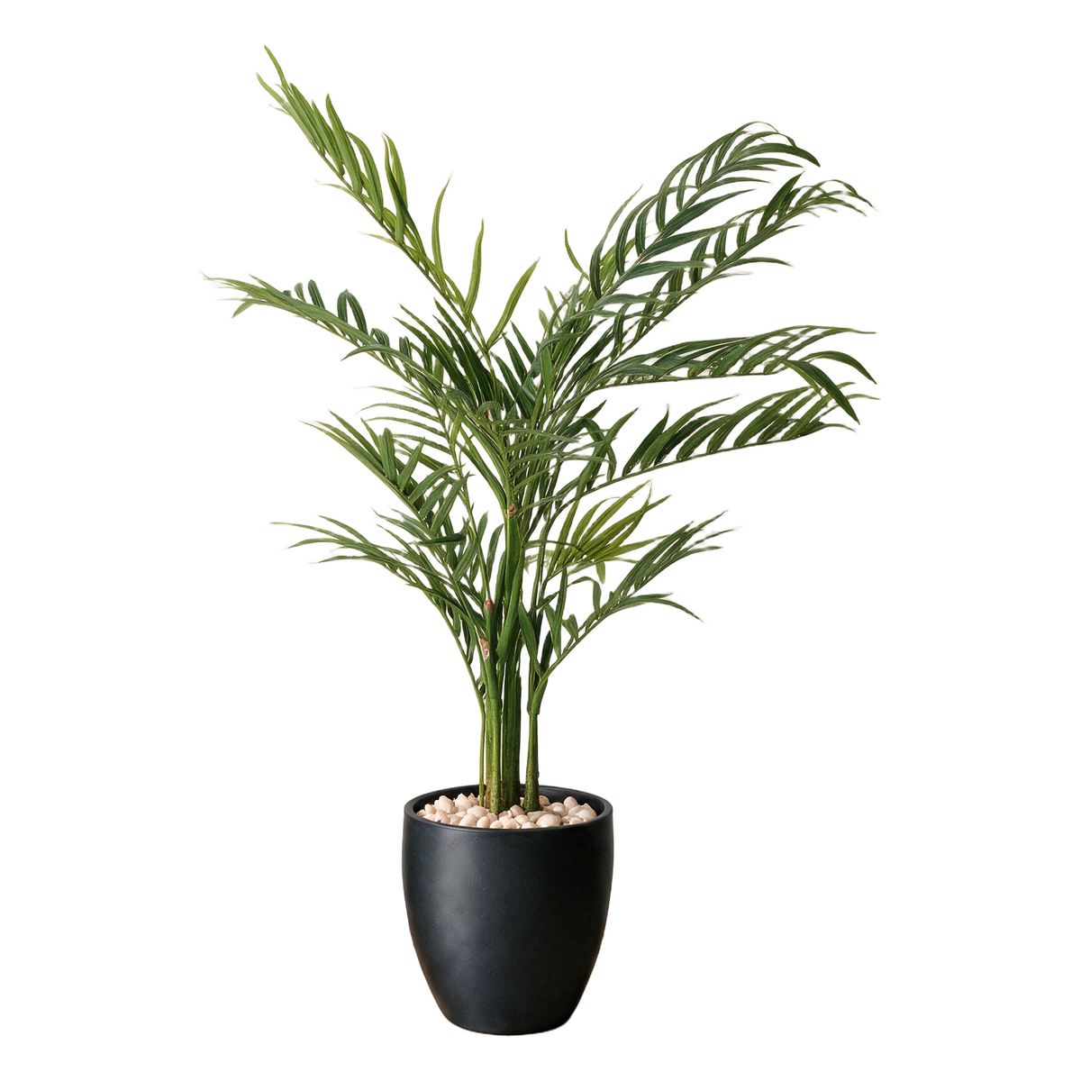Areca Palme 150 cm vist i dekorpotte med dekorstein