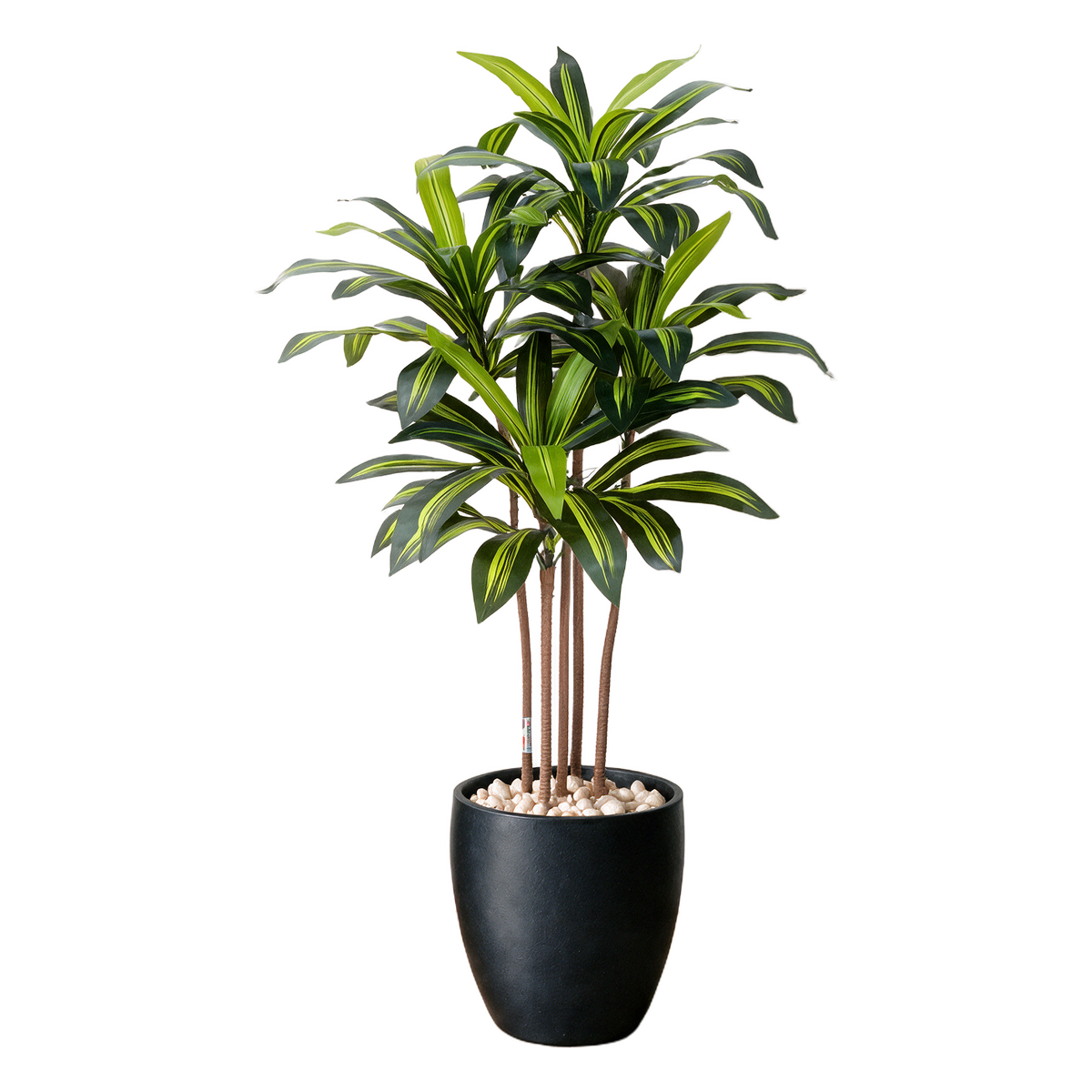 Dracaena 120 cm vist i dekorpotte med dekorstein