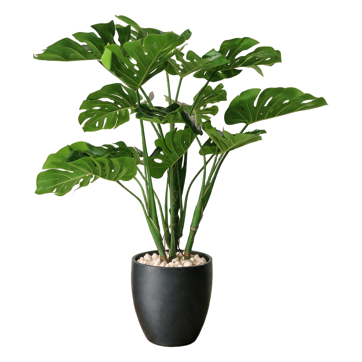 Monstera 90 cm vist i dekorpotte med dekorstein