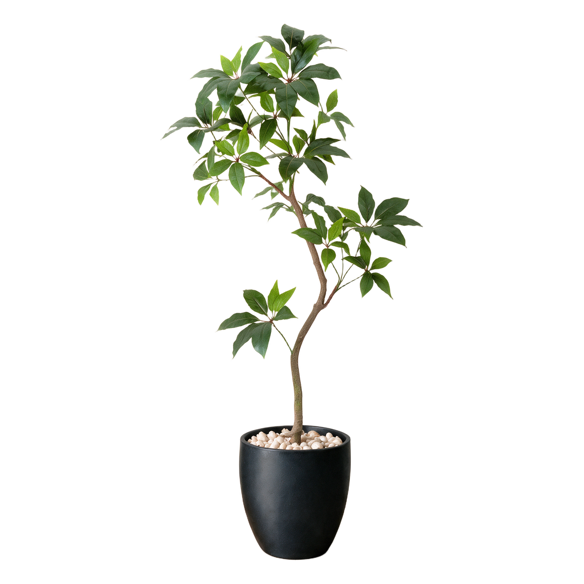 Paraply-leaf Tre 150 cm vist i dekorpotte med dekorstein