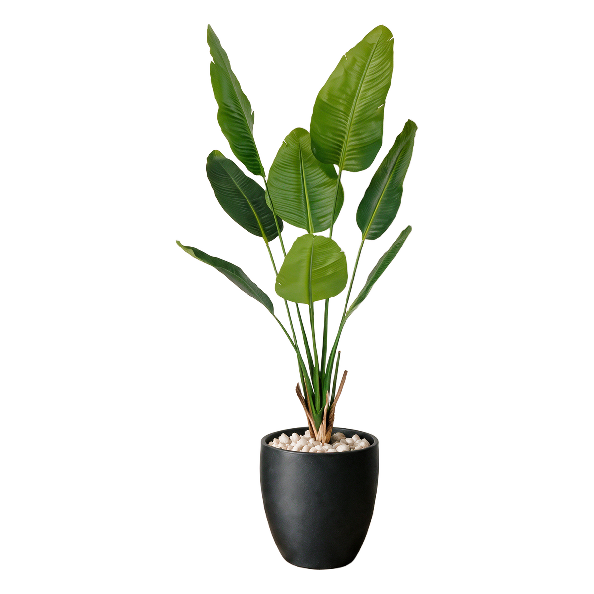 Strelitzia Deluxe 150 cm vist i dekorpotte med dekorstein