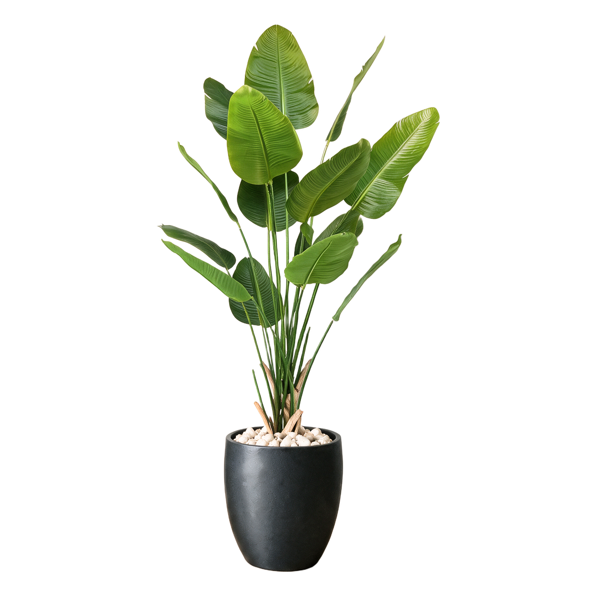 Strelitzia Deluxe 210 cm vist i dekorpotte med dekorstein