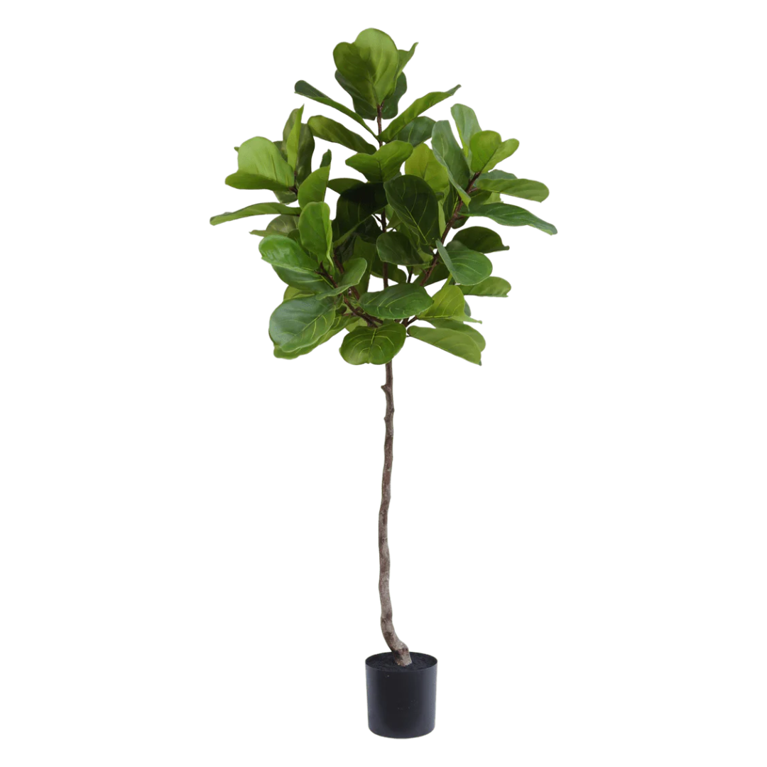 Kunstig Fiolinfiken 120 cm